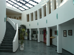 syna1